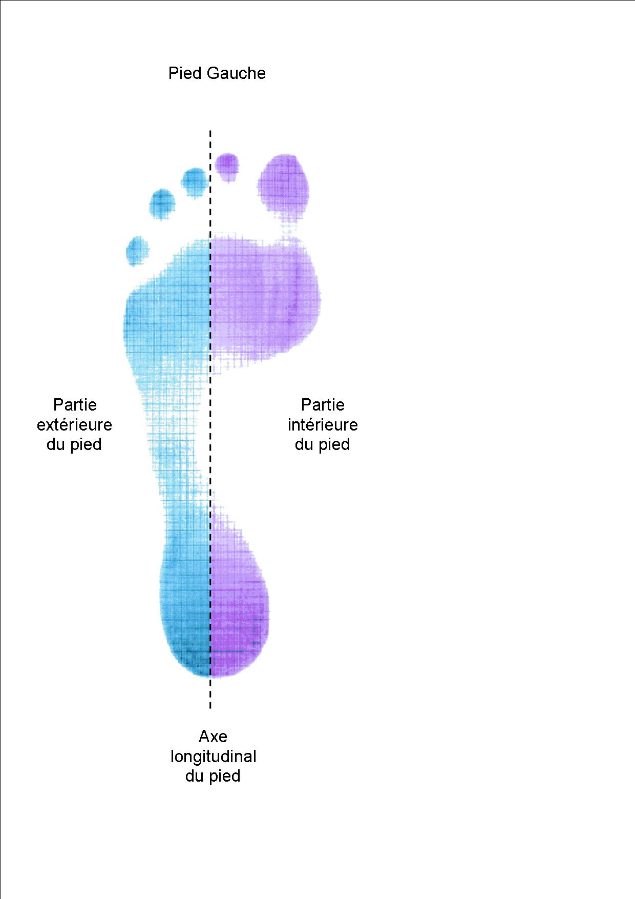 Supination pied outlet